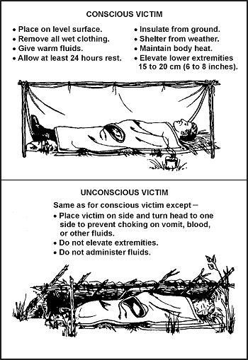 Figure 4-5. Treatment for Shock