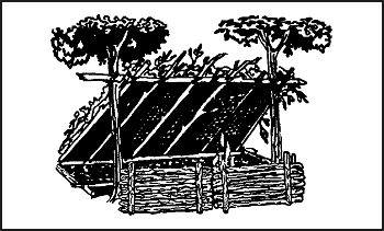 Figure 5-9. Field-Expedient Lean-to and Fire Reflector