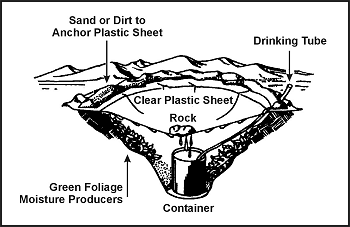 Figure 6-8. Belowground Still