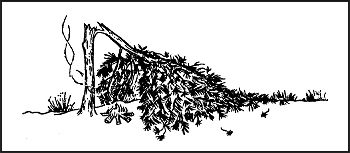 Figure 15-6. Fallen Tree as Shelter