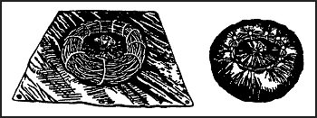 Figure 17-6. Poncho Donut Raft